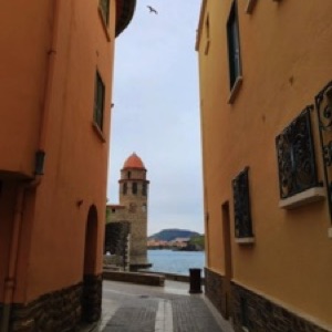 Perpignan, Ille-sur-Têt et Collioure ☀️.#france #city